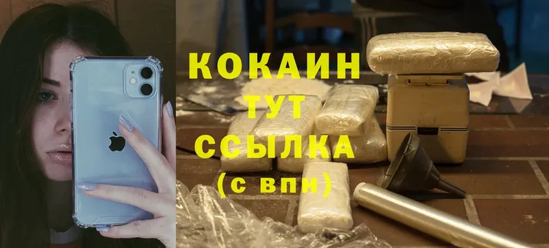 OMG   купить наркотик  Ельня  Cocaine Эквадор 